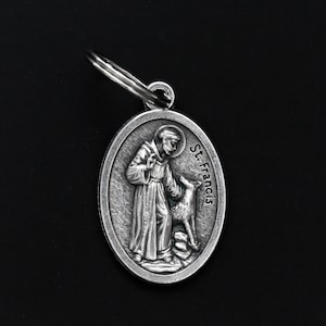 St francis medal for dogs hotsell