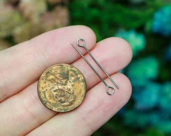 Roestvrijstalen oogpinnen, 25 mm lang x 0,7 mm (21 gauge) - bulkhoeveelheden van 100 of 250 stuks