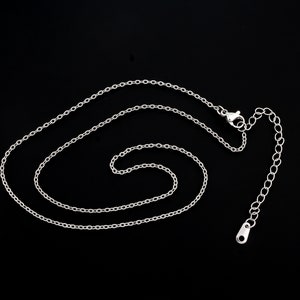 May include: A silver-colored necklace with a delicate chain design. The necklace features a lobster clasp and an adjustable chain for a customizable fit. The jewelry is displayed against a black background.