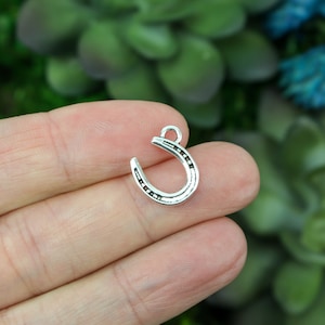 May include: Silver-toned horseshoe charm with a detailed design. The charm has a loop at the top for attaching to jewelry or other crafts.