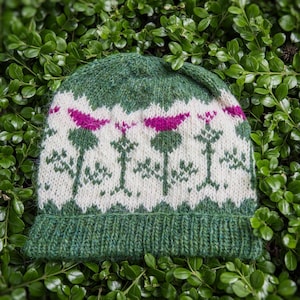May include: A knitted hat in green and white, featuring a floral design. The hat has a green brim and crown, with a white central section decorated with purple flowers and green stems. The hat is displayed on a bed of green leaves.