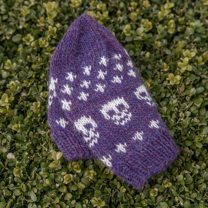 Purple Fair Isle knitted hat photographed outdoors on greenery, showing the crown shaping with repeating skull motifs and small cross details in contrasting white yarn.