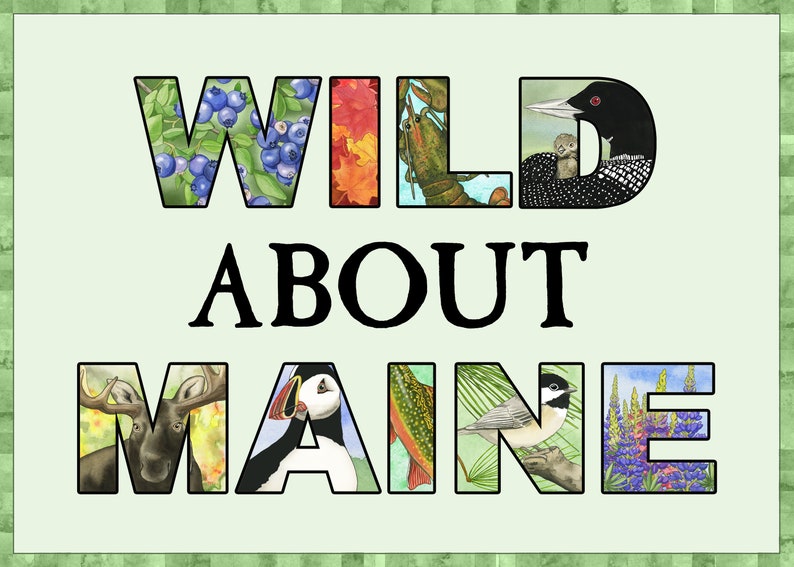 Wild About Maine set of 4 Loon Card Maine Card Puffin Etsy