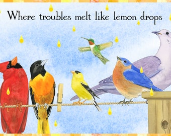 Rainbow Birds Birthday Card - Single or Set of 4, Inspirational Watercolor Art Greeting