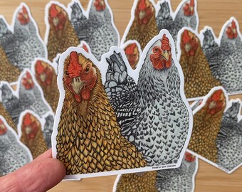 All the Hangry Ladies Chickens Die Cut Vinyl Stickers