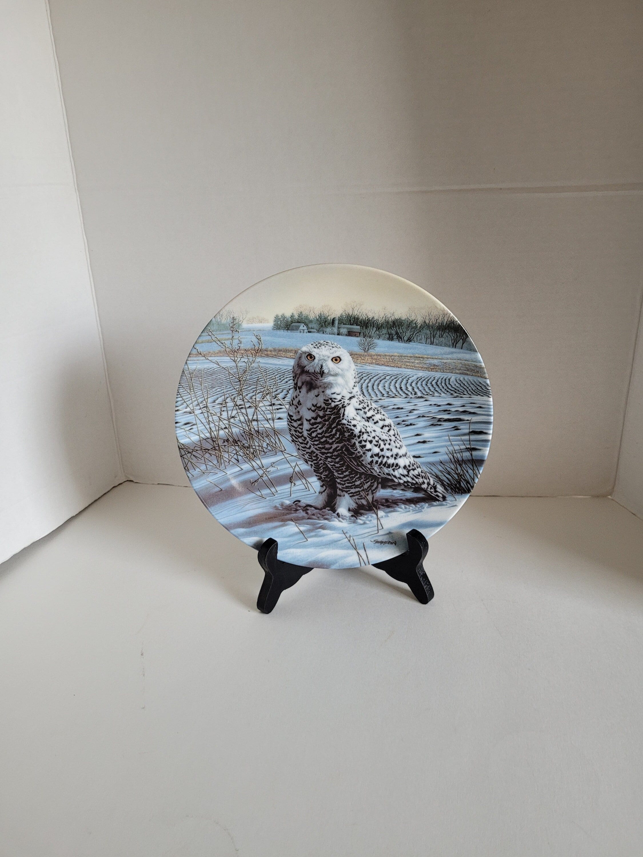 The Snowy Owl Plate Decorative Collectible Plate