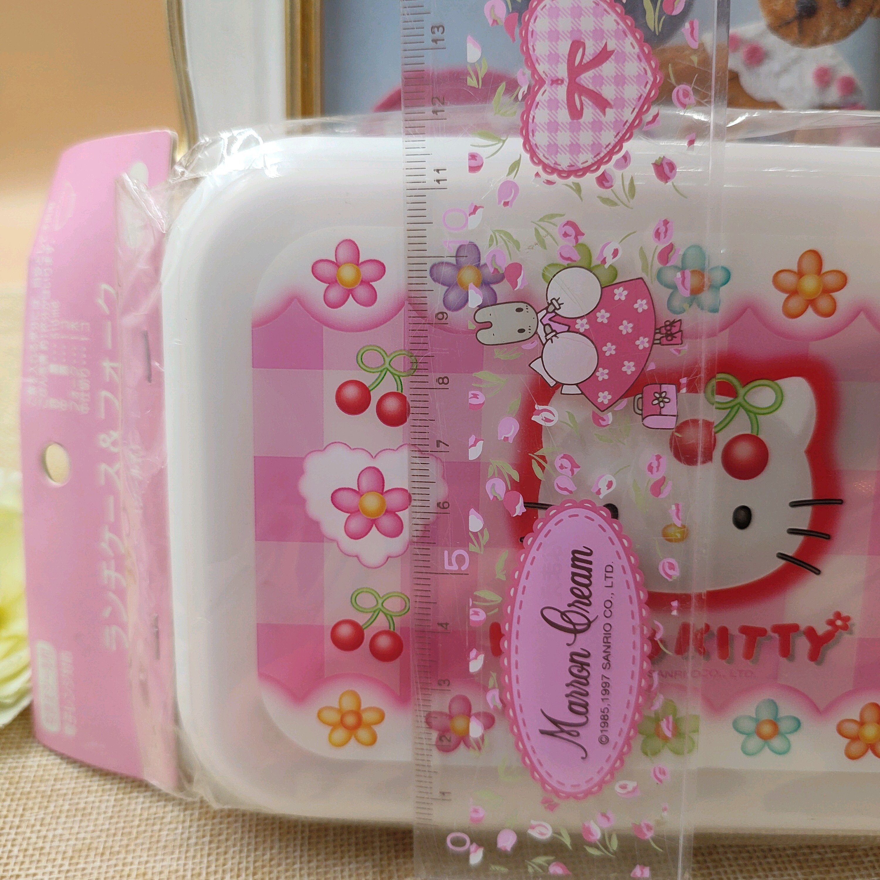 Lunch Boxes Set Talk Hello Kitty - Meccha Japan