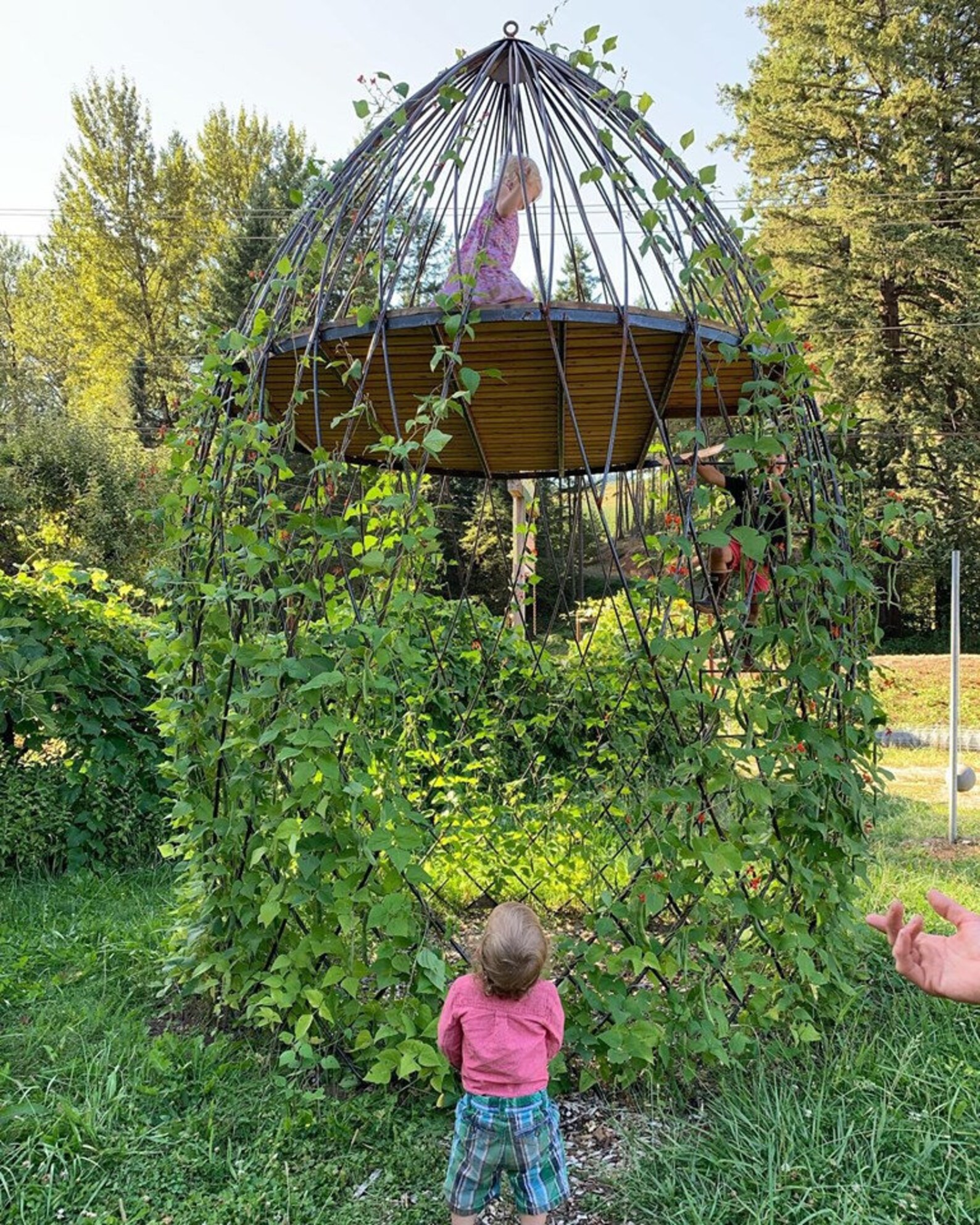 Hideaway Trellis / Treehouse / Play Structure