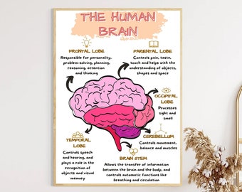 The Human Brain Poster, Mental Health Office Print, Therapy Decor Art, Therapist Psychologist Guidance Counselor Office Decor Wall Art