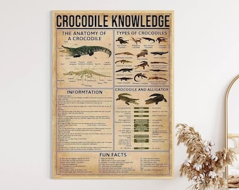 Póster de conocimientos sobre cocodrilos: anatomía y curiosidades. Arte mural educativo sobre caimanes. Decoración de reptiles para el aula. Impresión en lienzo de ciencias.
