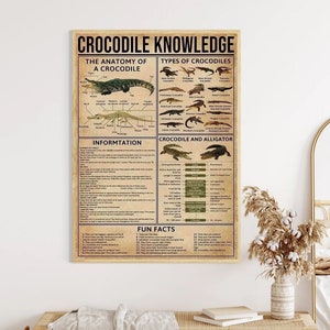 Krokodil Wissensposter – Anatomie & Wissenswertes – Lehrreiche Alligator Wandkunst – Reptilien Klassenzimmer Dekor – Wissenschaft Leinwanddruck