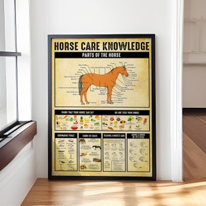 Pferdepflege Wissen Pferde Teile Lebensmittel Kolik Zeichen Pferdeliebhaber Geschenk Wandbild Leinwand Poster, Pferdeliebhaber