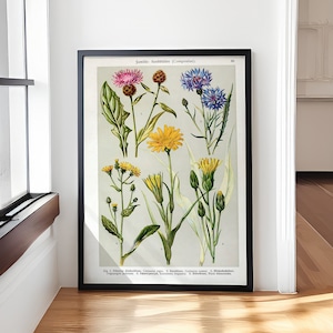 Vintage poster wilde bloemen, poster bloemenkaart, cadeau voor liefhebbers van wilde bloemen