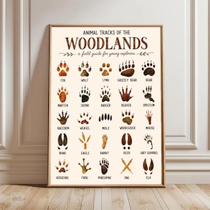 May include: A rectangular educational poster titled ANIMAL TRACKS OF THE WOODLANDS, a field guide for young explorers. It features twenty-five watercolor illustrations of animal footprints in brown and black, each labeled with the animal name.