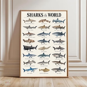 May include: A rectangular educational poster titled SHARKS OF THE WORLD featuring twenty-one detailed illustrations of various shark species arranged in seven rows. Each shark is labeled with its common name in black text on a cream background.