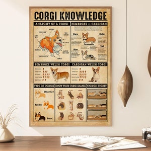 Op de afbeelding: Een vintage poster met de titel "Corgi Knowledge" en illustraties van Pembroke Welsh Corgis en Cardigan Welsh Corgis. De poster bevat informatie over de rassen, inclusief hun fysieke kenmerken, persoonlijkheidskenmerken en verzorgingseisen. Het bevat ook een sectie over "Know Your Corgi Shapes" met illustraties van verschillende Corgi-lichaamstypen.