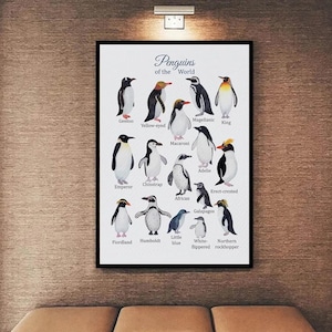 Pinguine der Welt Vintage Poster / Leinwand, Arten von Pinguin Retro Plaques, Pinguine Poster, Ozeanarten, Ozeanposter