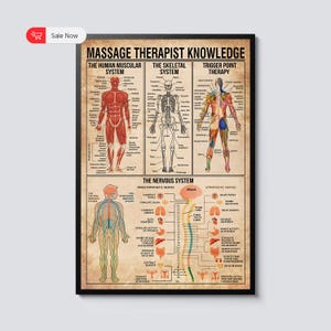 May include: A framed poster titled "MASSAGE THERAPIST KNOWLEDGE" with anatomical diagrams of the human muscular, skeletal, and nervous systems. The poster includes illustrations of trigger point therapy and the brain.
