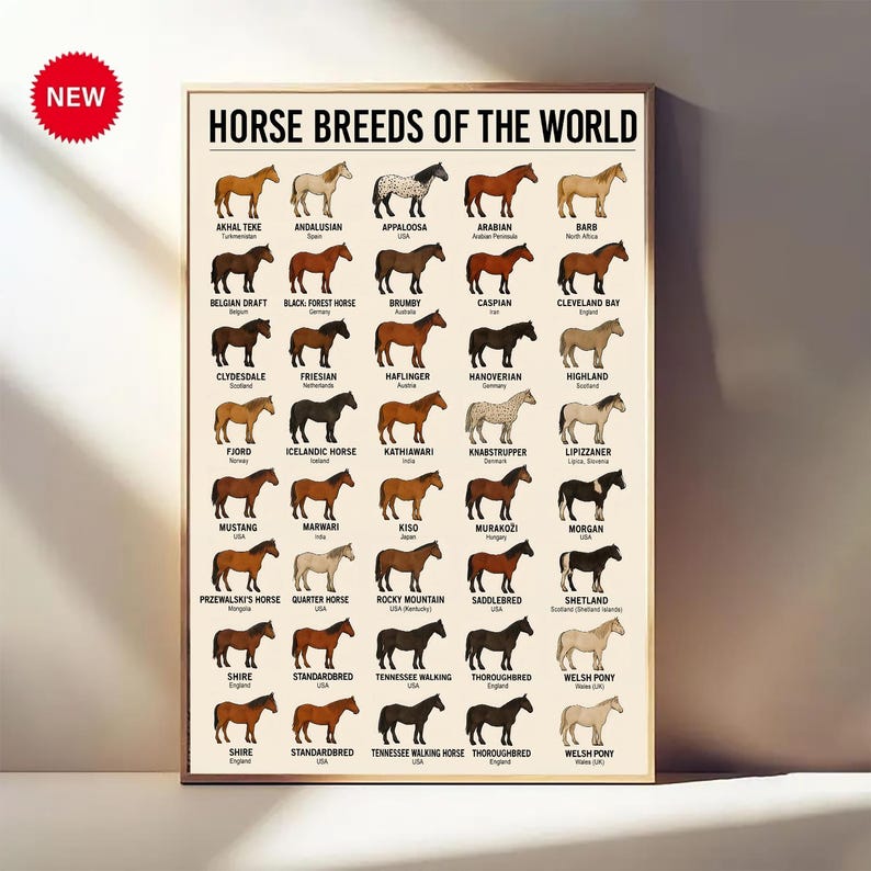 Puede incluir: Un p&oacute;ster enmarcado titulado "HORSE BREEDS OF THE WORLD" presenta ilustraciones de varias razas de caballos. El p&oacute;ster incluye los nombres de cada raza, como &Aacute;rabe, Mustang y Shire. Una pegatina roja "NEW" est&aacute; en la esquina superior izquierda.