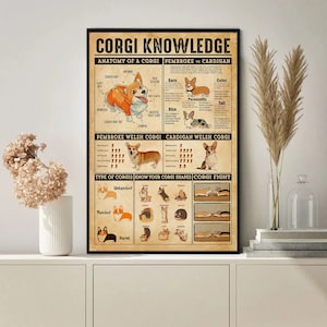 Op de afbeelding: Een vintage-stijl poster met een ge&iuml;llustreerde gids over Corgi-kennis. De poster toont een gedetailleerde anatomie van een Corgi, een vergelijking tussen Pembroke en Cardigan Welsh Corgis, en een gids over verschillende Corgi-vormen. De poster heeft de titel "Corgi Knowledge".