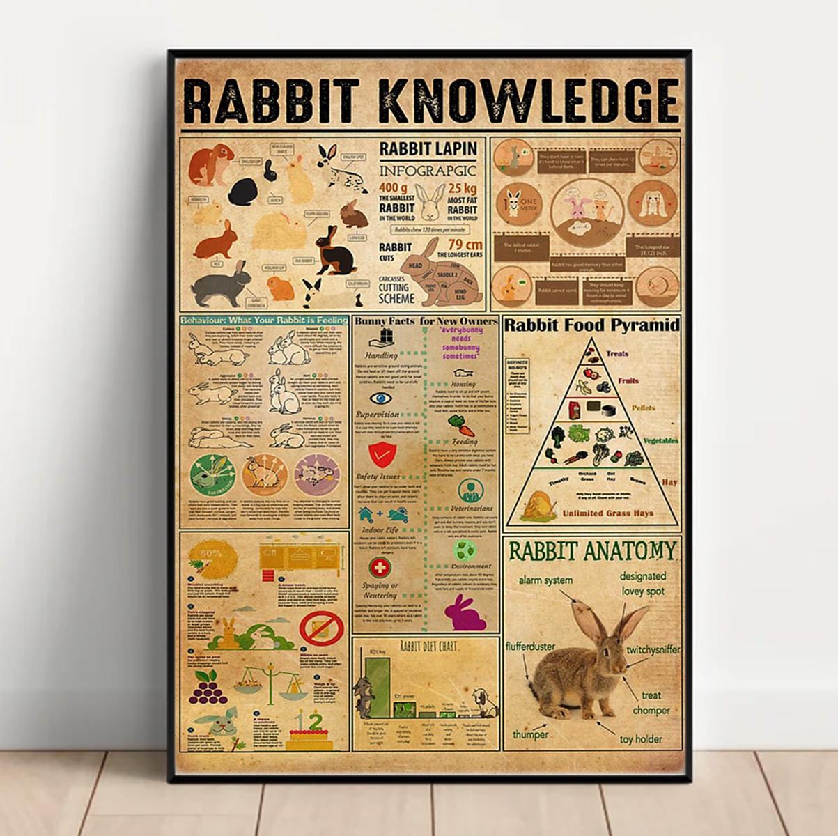 All Knowing Rabbit Rabbit Knowledge Poster, Rabbit Lover Gift, All About Rabbit, Vintage ...
