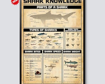 Sharks Of The World Retro Poster/Canvas, Sharks Vintage Poster, Shark Lover Gift, Ocean Poster, Animal Poster