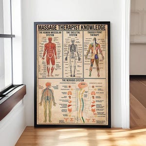 Massageposter Kennis van massagetherapeut De mens Spierstelsel Het skelet Triggerpoint Therapie Educatie Grafiek Geschenken minnaar