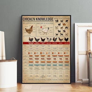 Chicken Knowledge Poster, Chicken Anatomy Chart, Chicken Breeds Wall Art, Farmhouse Kitchen Decor, Gift for Chicken Lovers, Poultry Poster