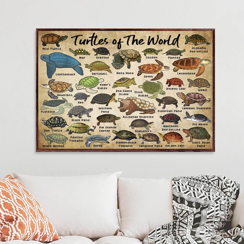 May include: A vintage-style poster featuring illustrations of different turtle species from around the world. The poster is titled "Turtles of The World" and includes the common names of each turtle species.