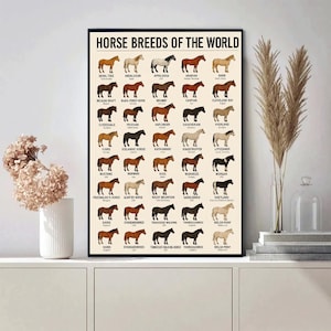 Puede incluir: Un p&oacute;ster enmarcado titulado "HORSE BREEDS OF THE WORLD" con ilustraciones de varias razas de caballos. El p&oacute;ster incluye nombres como &Aacute;rabe, Mustang y Clydesdale. La obra de arte se muestra sobre una superficie blanca.