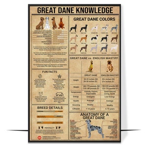 Camping Knowledge Poster/Canvas, Knowledge Poster, Vintage Poster Wall Art, Gift For Camping Lover, Camper Gift, Camper Art Print