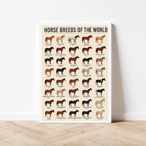 Puede incluir: Un p&oacute;ster enmarcado titulado "Razas de caballos del mundo" presenta ilustraciones de varias razas de caballos. El p&oacute;ster incluye nombres como "Mustang", "&Aacute;rabe" y "Welsh Pony", con cada raza representada en un color y estilo &uacute;nicos.