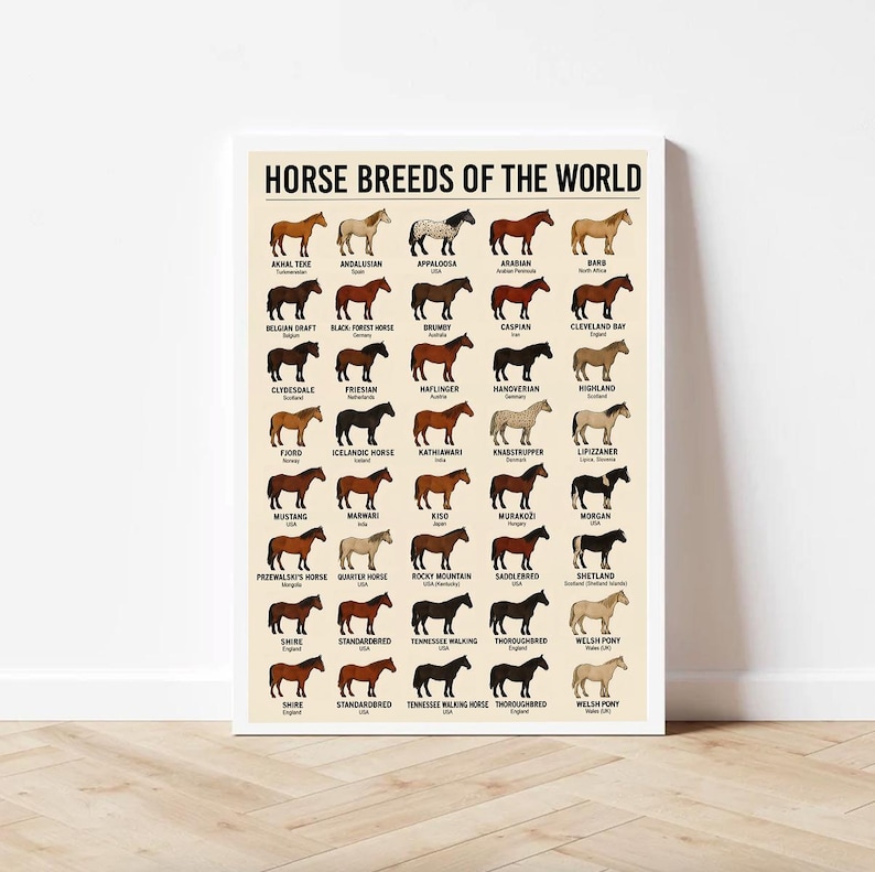Puede incluir: Un p&oacute;ster enmarcado titulado "Razas de caballos del mundo" presenta ilustraciones de varias razas de caballos. El p&oacute;ster incluye nombres como "Mustang", "&Aacute;rabe" y "Welsh Pony", con cada raza representada en un color y estilo &uacute;nicos.