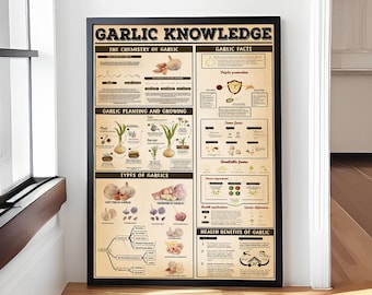 Knoblauch Wissen Poster/Leinwand Knoblauch Infografik Retro Poster Farmers Referenzleitfaden Plaques Home Bauernhaus Küche Bauernhof Wanddeko