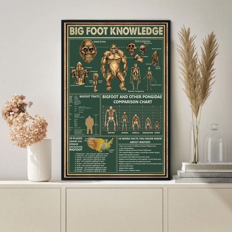 May include: A green and brown poster with the title "Big Foot Knowledge". The poster includes a diagram of a Bigfoot, a comparison chart of Bigfoot to other primates, and a map of the United States showing where Bigfoot sightings have been reported.