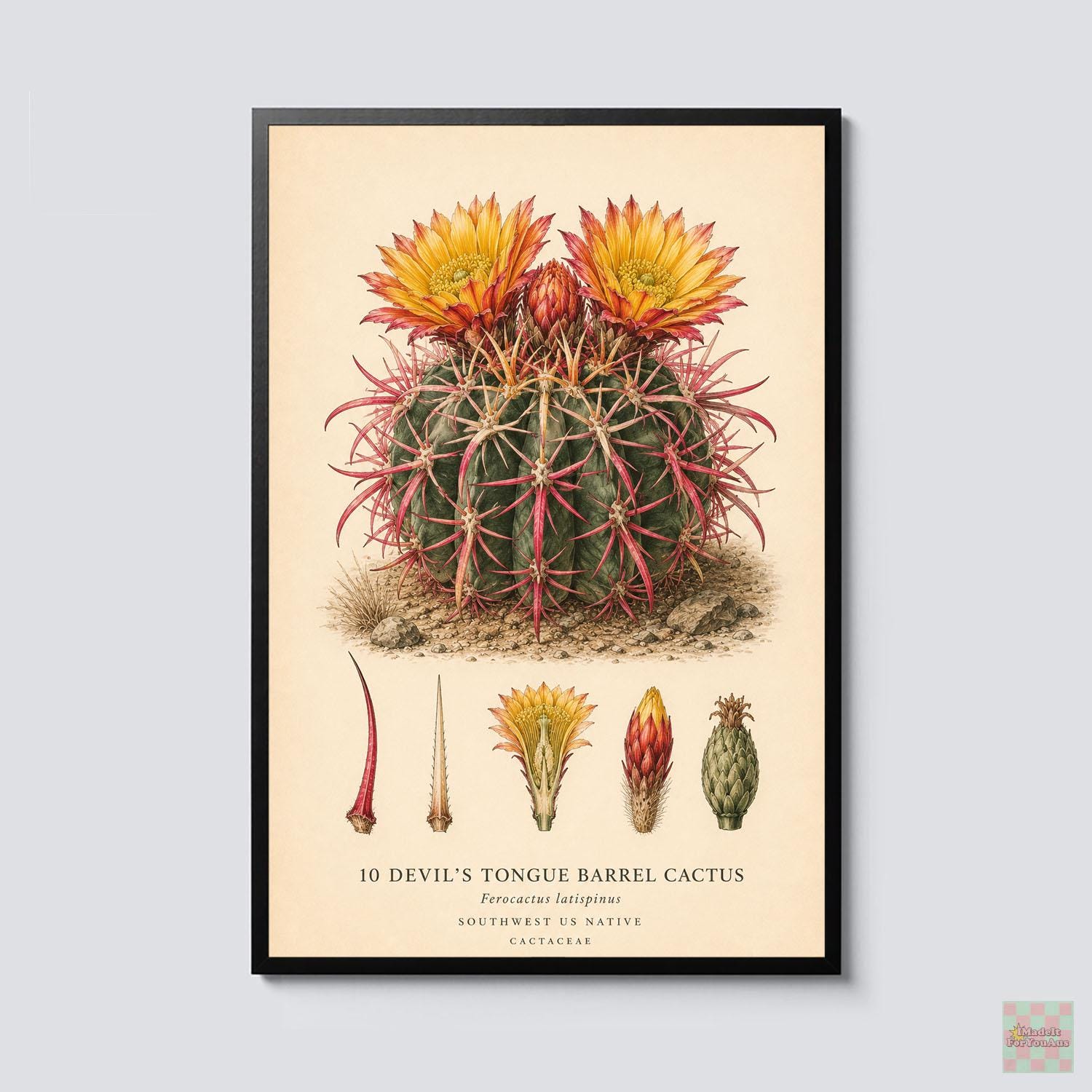 Devil's Tongue - Etsy UK