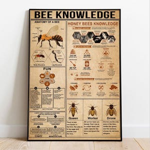 Bijenkennisposter, bijenliefhebber cadeau, alles over bij, vintage kennisposter, kenniskunst, thuis, onderwijs grafiek minnaar cadeau