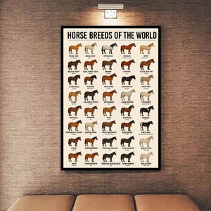 Puede incluir: Un p&oacute;ster enmarcado titulado "HORSE BREEDS OF THE WORLD" con ilustraciones de varias razas de caballos. El p&oacute;ster incluye nombres como &Aacute;rabe, Mustang y Shire, con cada raza representada en un color y patr&oacute;n &uacute;nicos. El p&oacute;ster se muestra en una pared texturizada.