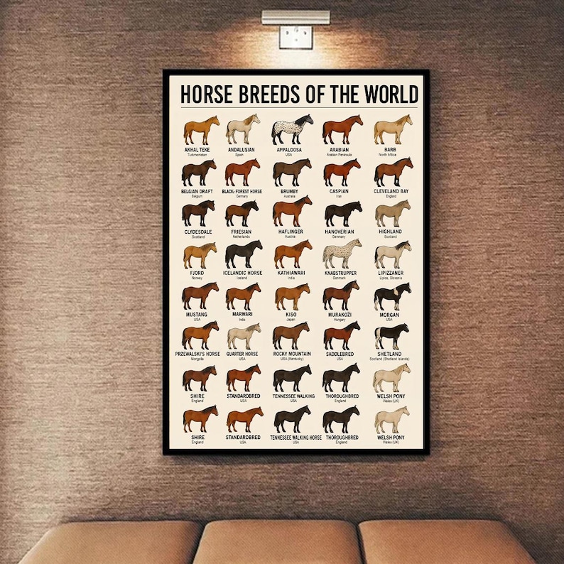 Puede incluir: Un p&oacute;ster enmarcado titulado "HORSE BREEDS OF THE WORLD" con ilustraciones de varias razas de caballos. El p&oacute;ster incluye nombres como &Aacute;rabe, Mustang y Shire, con cada raza representada en un color y patr&oacute;n &uacute;nicos. El p&oacute;ster se muestra en una pared texturizada.