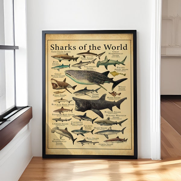 Sharks Of The World Retro Poster/Canvas, Sharks Vintage Poster, Shark Lover Gift, Ocean Poster, Animal Poster