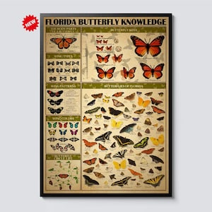 May include: A framed poster titled "FLORIDA BUTTERFLY KNOWLEDGE" featuring illustrations of butterflies. The poster details butterfly sizes, wing types, wing patterns, wing colours, and the butterfly life cycle. The poster is in a black frame.