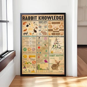 Kaninchen Wissen Poster, Kaninchen Liebhaber Geschenk, Alles über Kaninchen, Vintage Wissens Poster, Wissen Kunst, Zuhause, Bildungskarte Liebhaber Geschenk