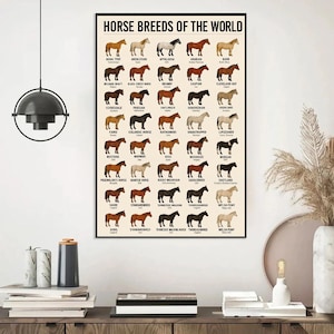 Puede incluir: Un p&oacute;ster enmarcado titulado "HORSE BREEDS OF THE WORLD" con ilustraciones de varias razas de caballos. El p&oacute;ster incluye razas como el &aacute;rabe, el appaloosa y el shetland, con el nombre de cada raza que se muestra debajo de su imagen.
