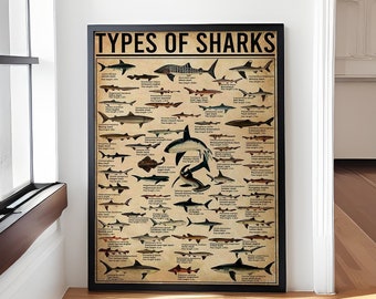 Types of Shark Poster or Canvas Wall Art, Fun Educational Science Infographic for Classroom or Kids Room, Vintage Style Shark Chart Decor