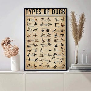 Pu&ograve; includere: Un poster incorniciato intitolato "TYPES OF DUCK" con illustrazioni di varie specie di anatre. Il poster ha un'estetica vintage con uno sfondo beige e testo nero. Le illustrazioni mostrano anatre in diverse pose.