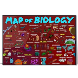 Die Karte der Biologie Poster, Biologie Poster, Biologie Klassenzimmer Dekor, Biologie Lehrer