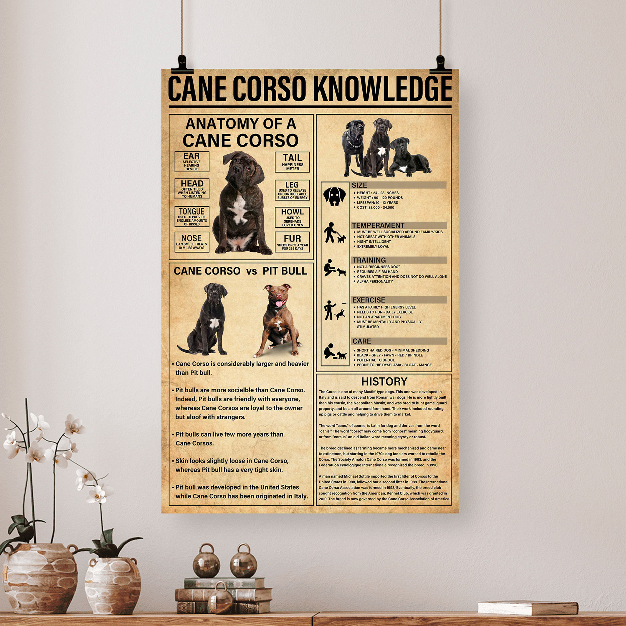 Cane Corso Knowledge Poster/canvas, Knowledge Poster, Vintage Poster ...
