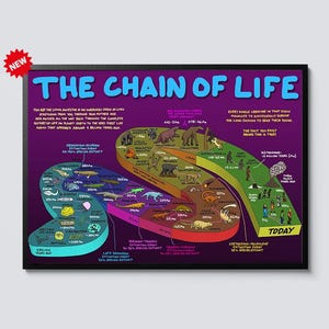 May include: A framed educational poster titled "The Chain of Life" with a purple background. The poster features a colorful infographic illustrating the evolution of life on Earth, including various species and extinction events. The word "NEW" is in a red starburst.