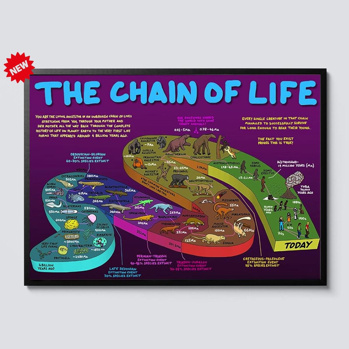 The Chain of Life Evolution Poster, Canvas Biology Timeline Infographic ...