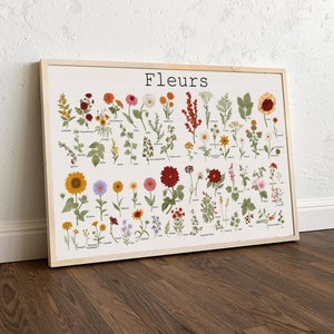 Fleurs Blumenvase, Blumenbild, Blumenbild, Blumenbild, Blumenposter/Leinwand